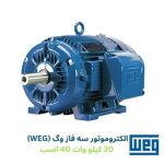 الکتروموتور سه فاز وگ (WEG) 30 کیلو وات 40 اسب